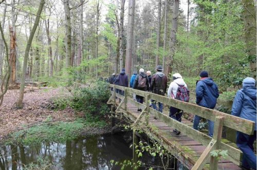 Wandergruppe überquert einen kleinen Bach auf einer Holzbrücke im Wald