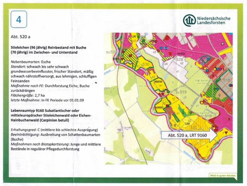 Infotafel zur Station 4 des Waldspaziergangs mit Übersichtskarte